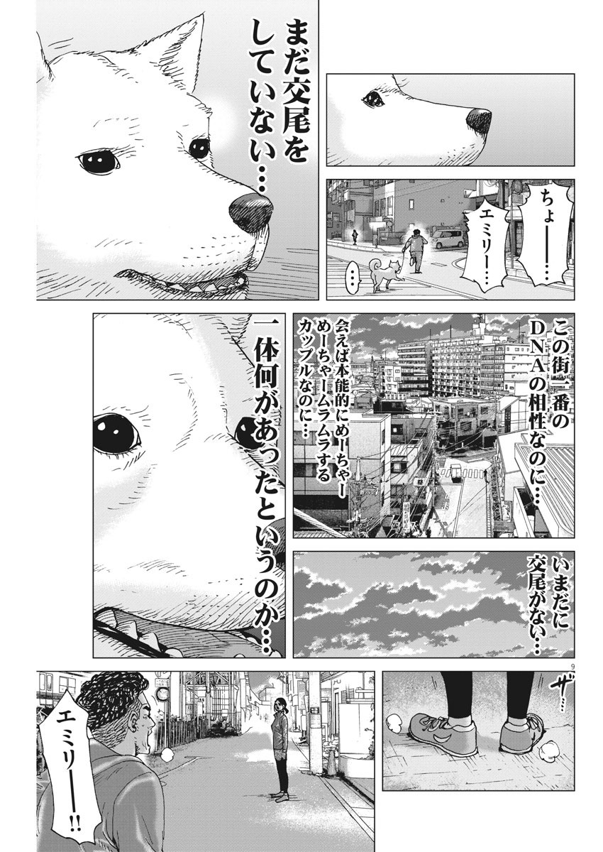 Kekkon Afro Tanaka - Chapter 91 - Page 9