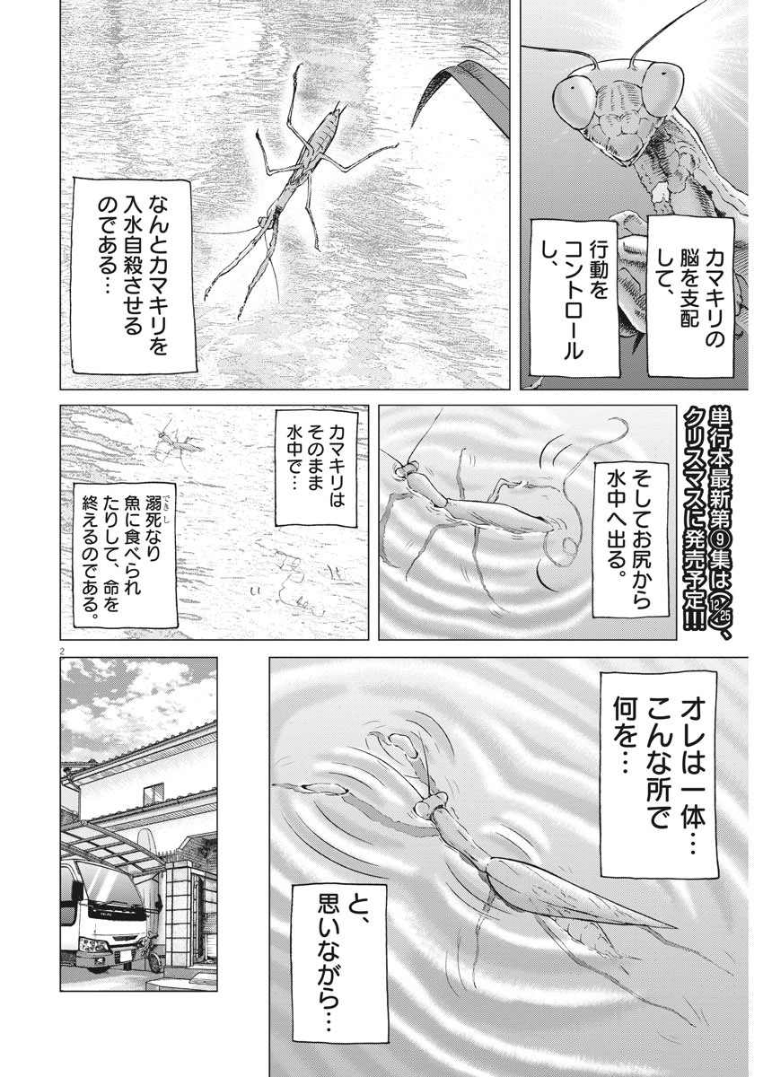 Kekkon Afro Tanaka - Chapter 94 - Page 2