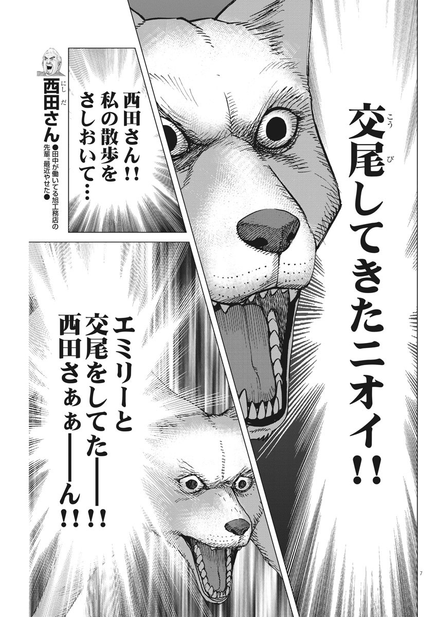 Kekkon Afro Tanaka - Chapter 95 - Page 7