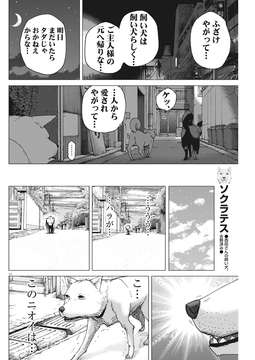 Kekkon Afro Tanaka - Chapter 96 - Page 10