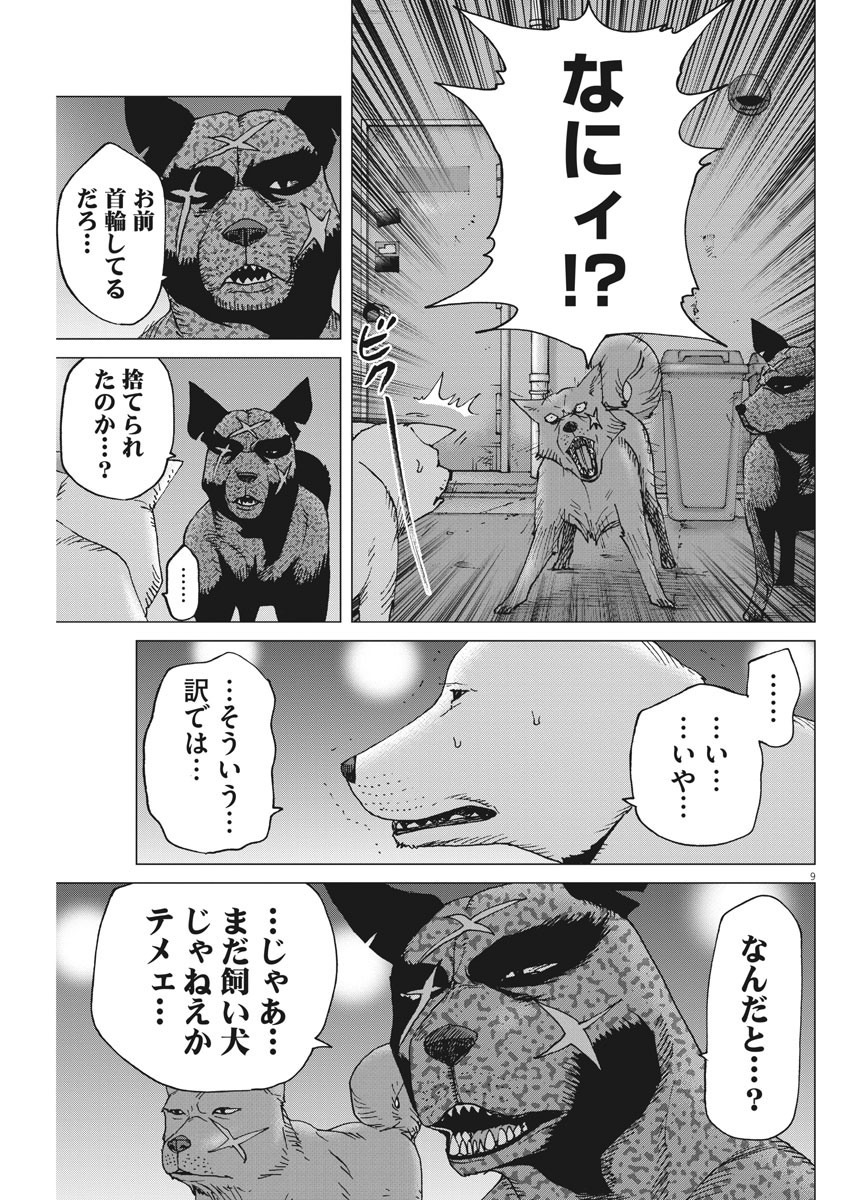 Kekkon Afro Tanaka - Chapter 96 - Page 9