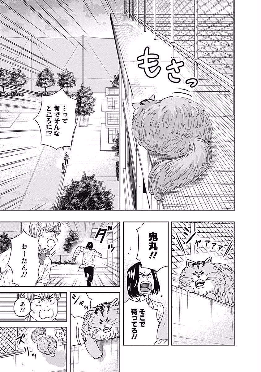 Keppeki Danshi! Aoyama-kun - Chapter 108 - Page 13