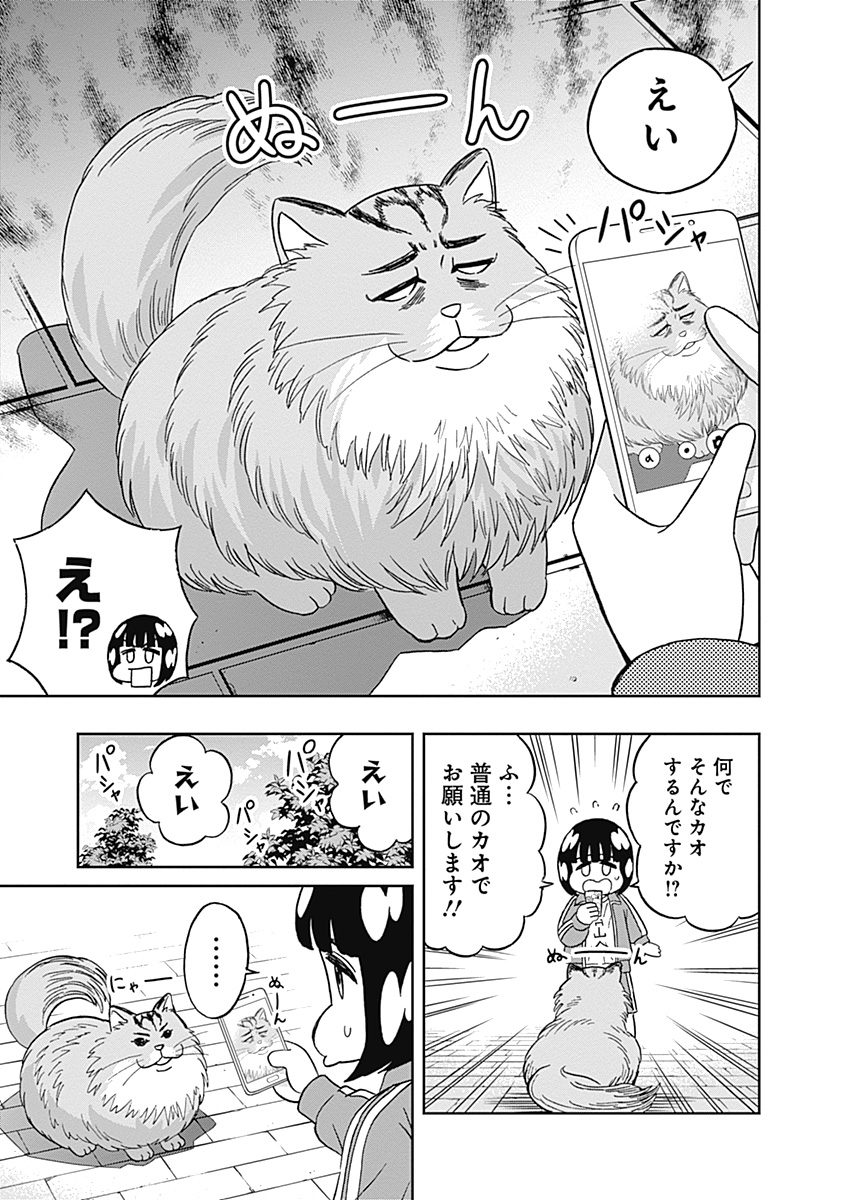 Keppeki Danshi! Aoyama-kun - Chapter 52 - Page 3