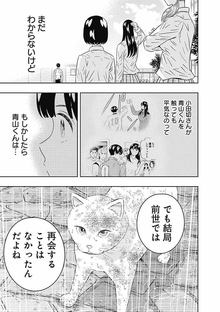 Keppeki Danshi! Aoyama-kun - Chapter 90 - Page 18