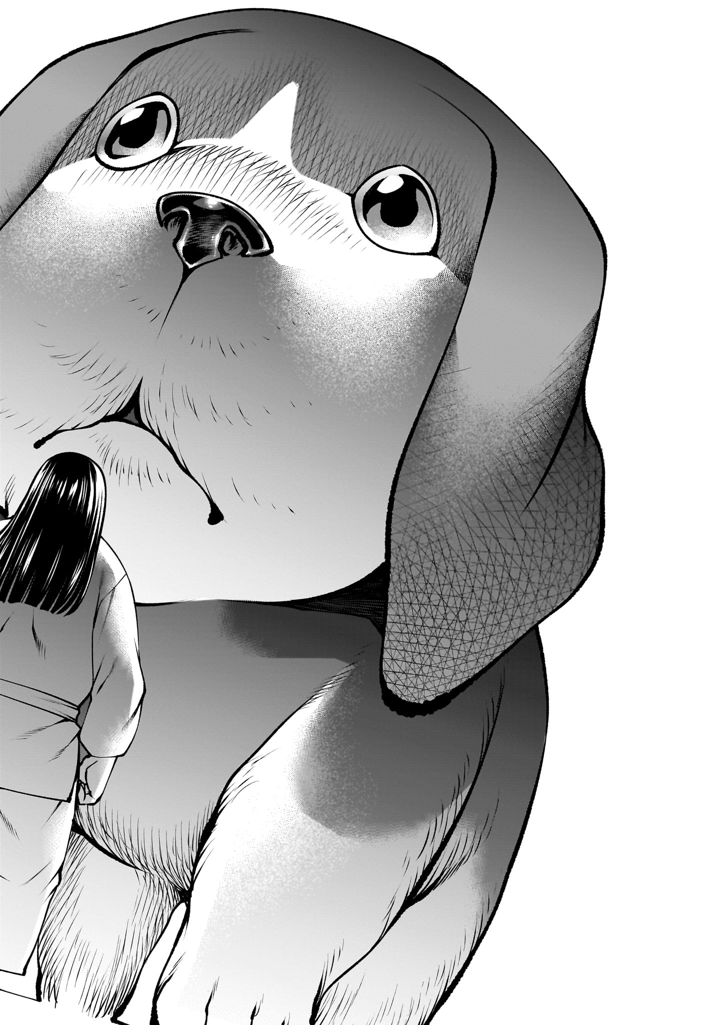 Killing Bites - Chapter 139 - Page 40