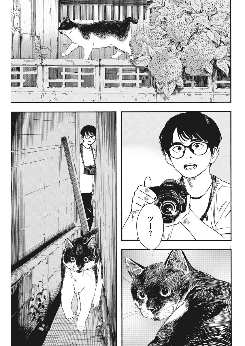 Kimi wa Houkago Insomnia - Chapter 39 - Page 5