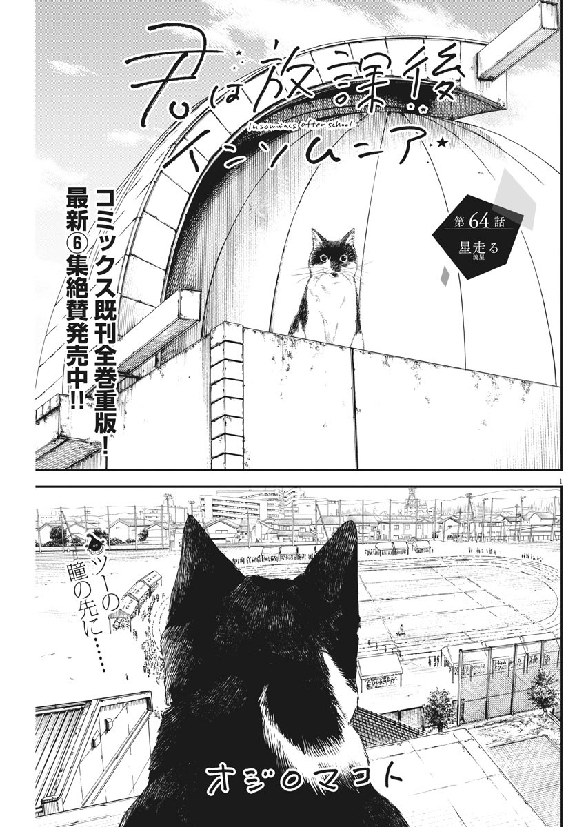 Kimi wa Houkago Insomnia - Chapter 64 - Page 1