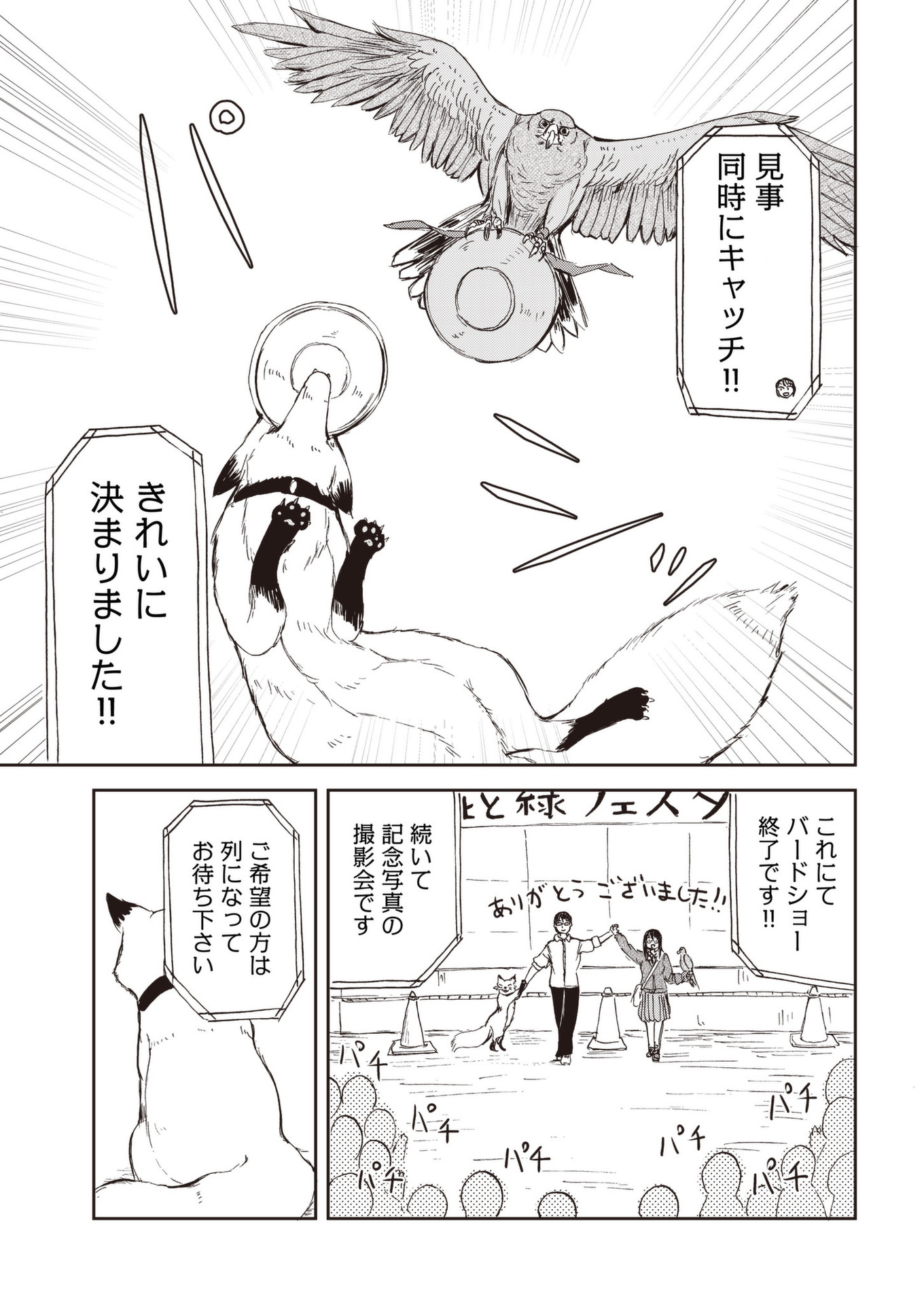 Kitsune no Oyome-chan - Chapter 33 - Page 15