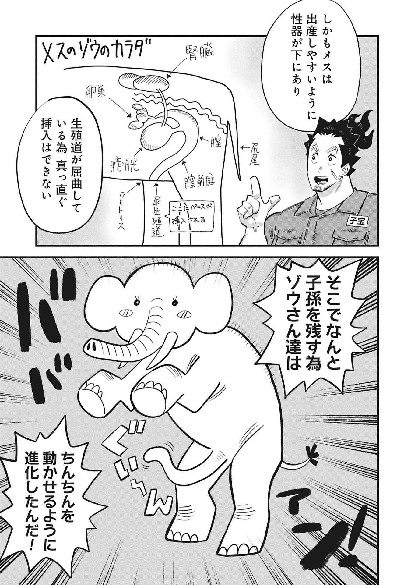 Kodakara-san no Otona na Doubutsu Zukan - Chapter 1 - Page 11