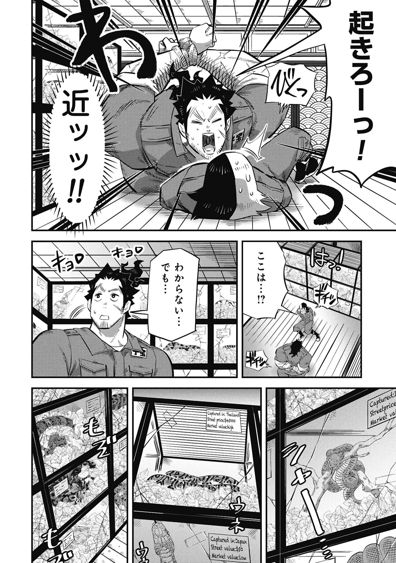 Kodakara-san no Otona na Doubutsu Zukan - Chapter 4.1 - Page 2