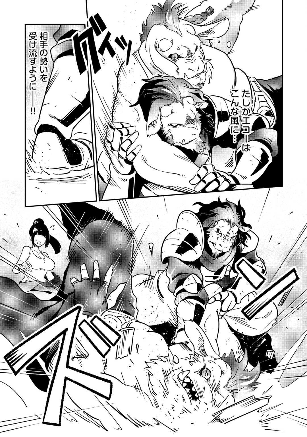 Kokkyou no Yuusha Echo - Chapter 10 - Page 9