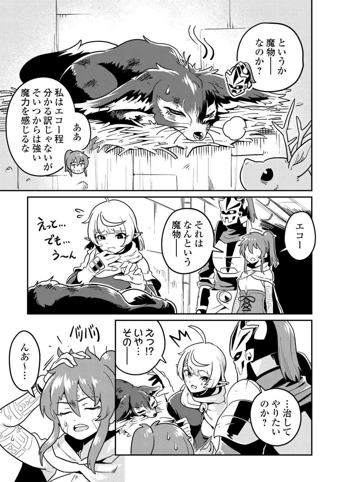 Kokkyou no Yuusha Echo - Chapter 13 - Page 11