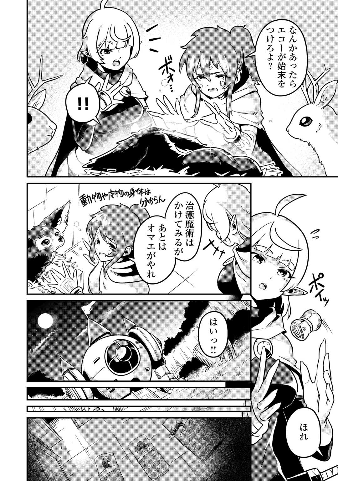 Kokkyou no Yuusha Echo - Chapter 13 - Page 12