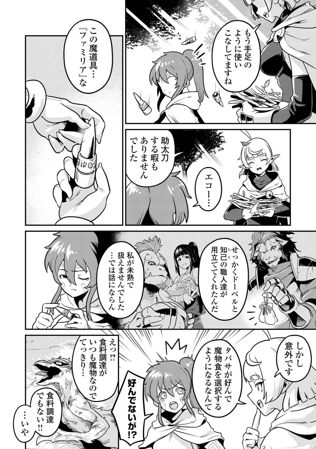 Kokkyou no Yuusha Echo - Chapter 14 - Page 4