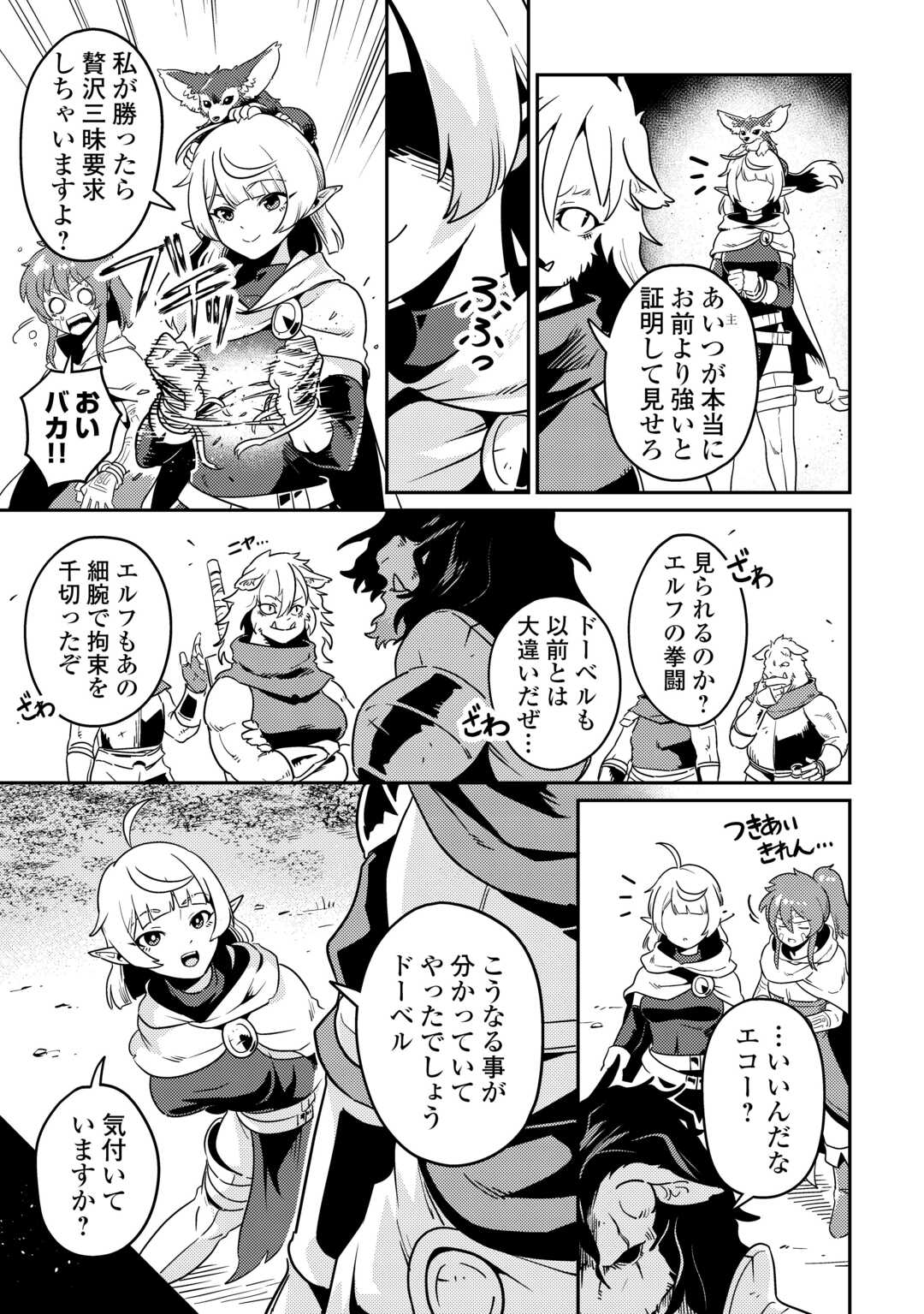 Kokkyou no Yuusha Echo - Chapter 15 - Page 11