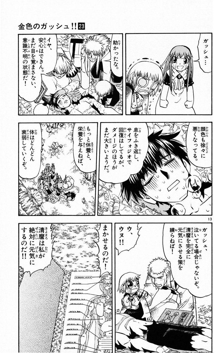 Konjiki no Gash!! - Chapter 216 - Page 13