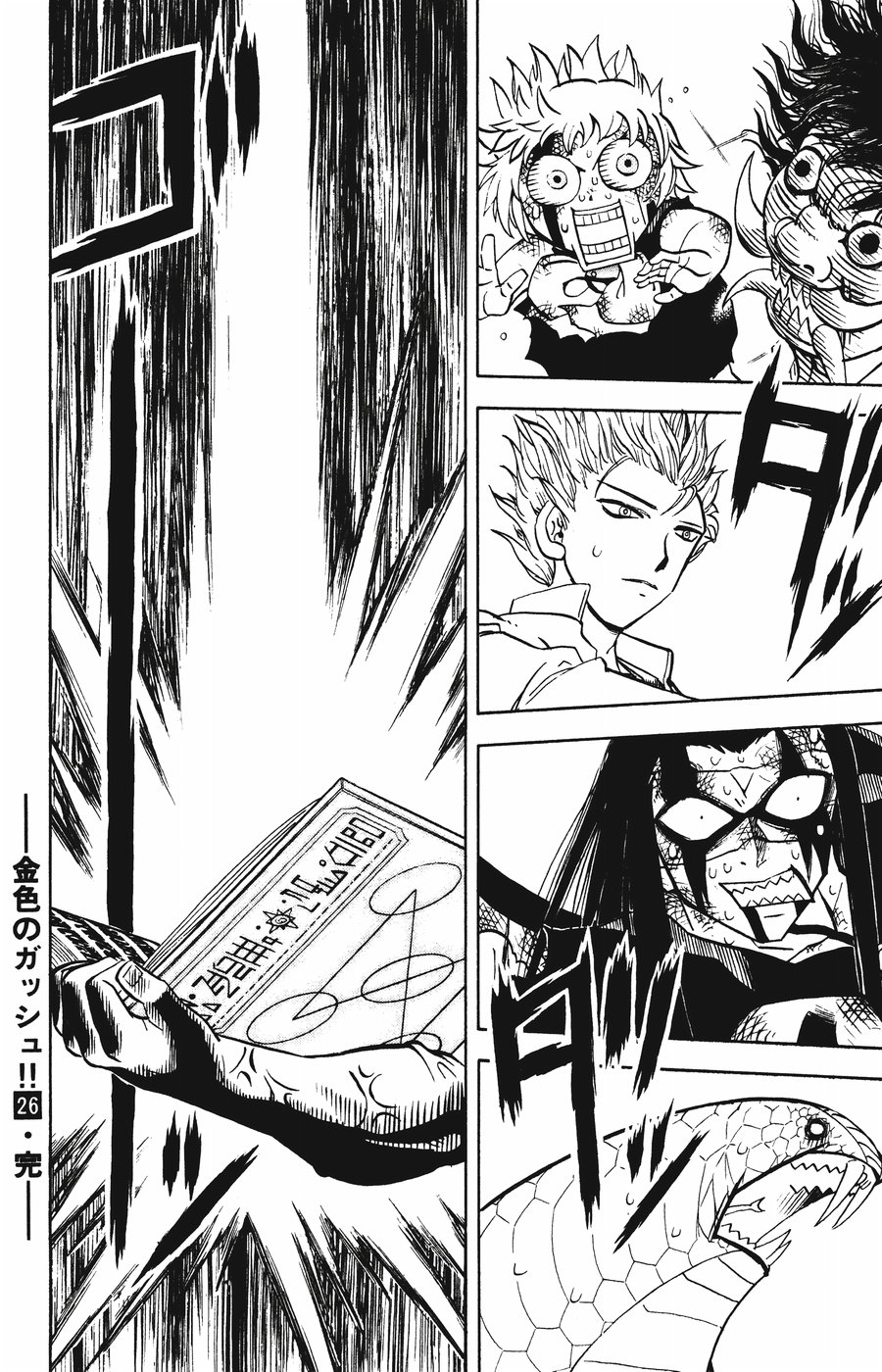 Konjiki no Gash!! - Chapter 253 - Page 14