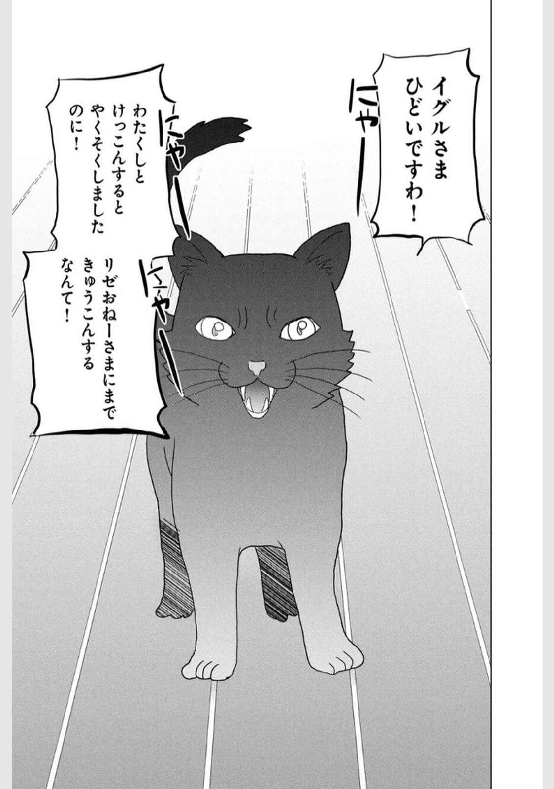 Konna Hazu Janakatta? Sore wa Zannen deshita ne Watashi wa Jiyuu Kimama ni Kurashitai - Chapter 4 - Page 11