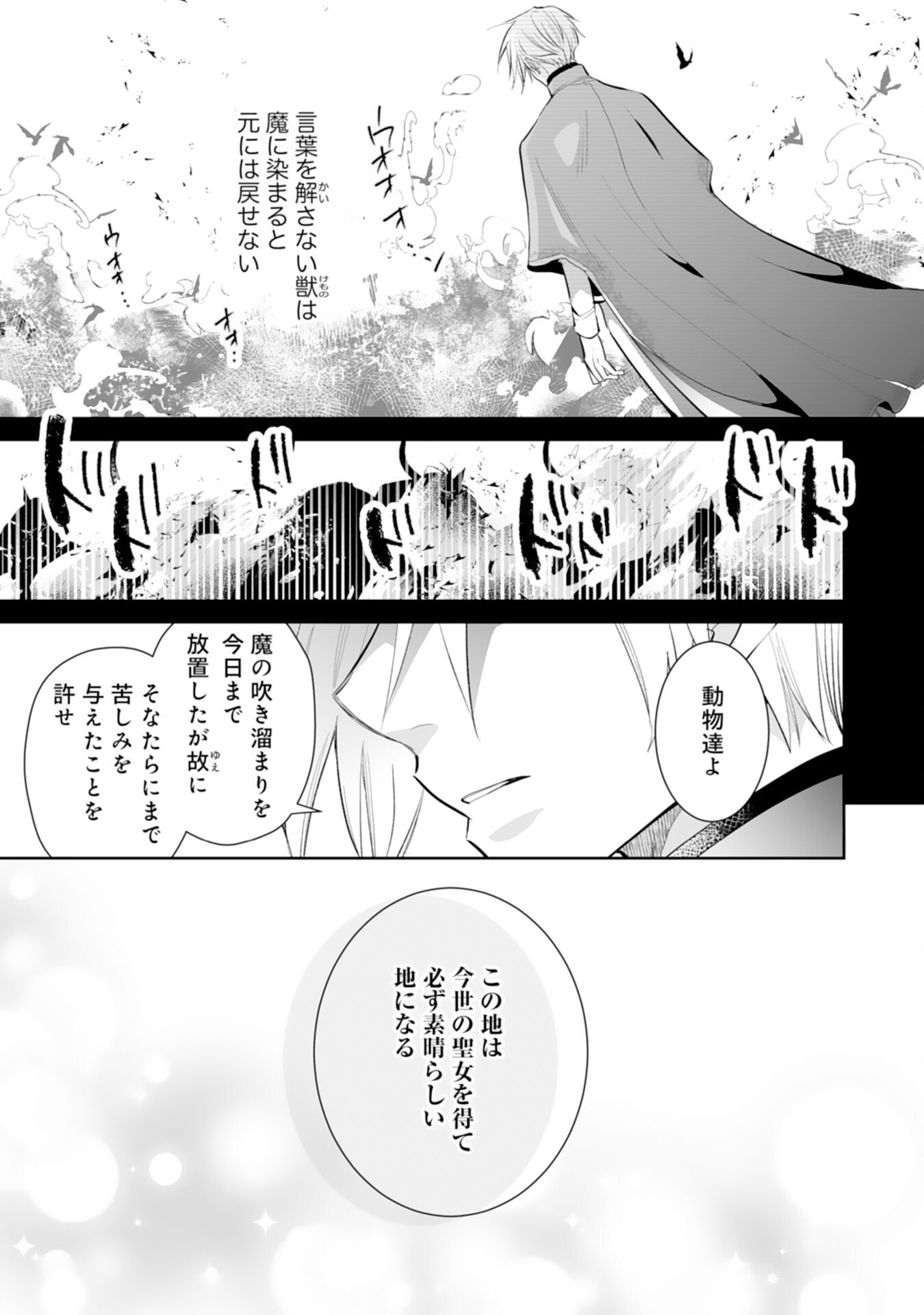 Konyaku Haki wa Honmou Desu! Seijo no Chikara ga Kaika Shita no de Watashi wa Jiyuu ni Kurashimasu - Chapter 11 - Page 19