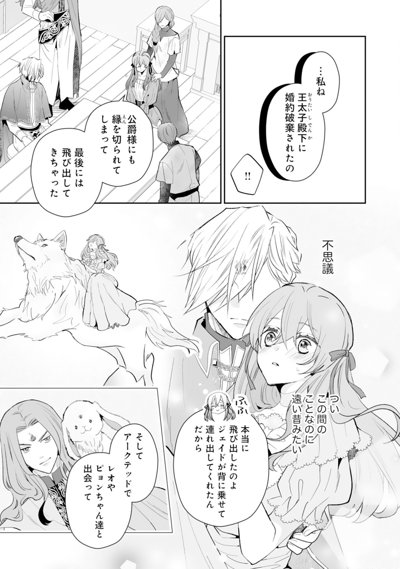 Konyaku Haki wa Honmou Desu! Seijo no Chikara ga Kaika Shita no de Watashi wa Jiyuu ni Kurashimasu - Chapter 12 - Page 19