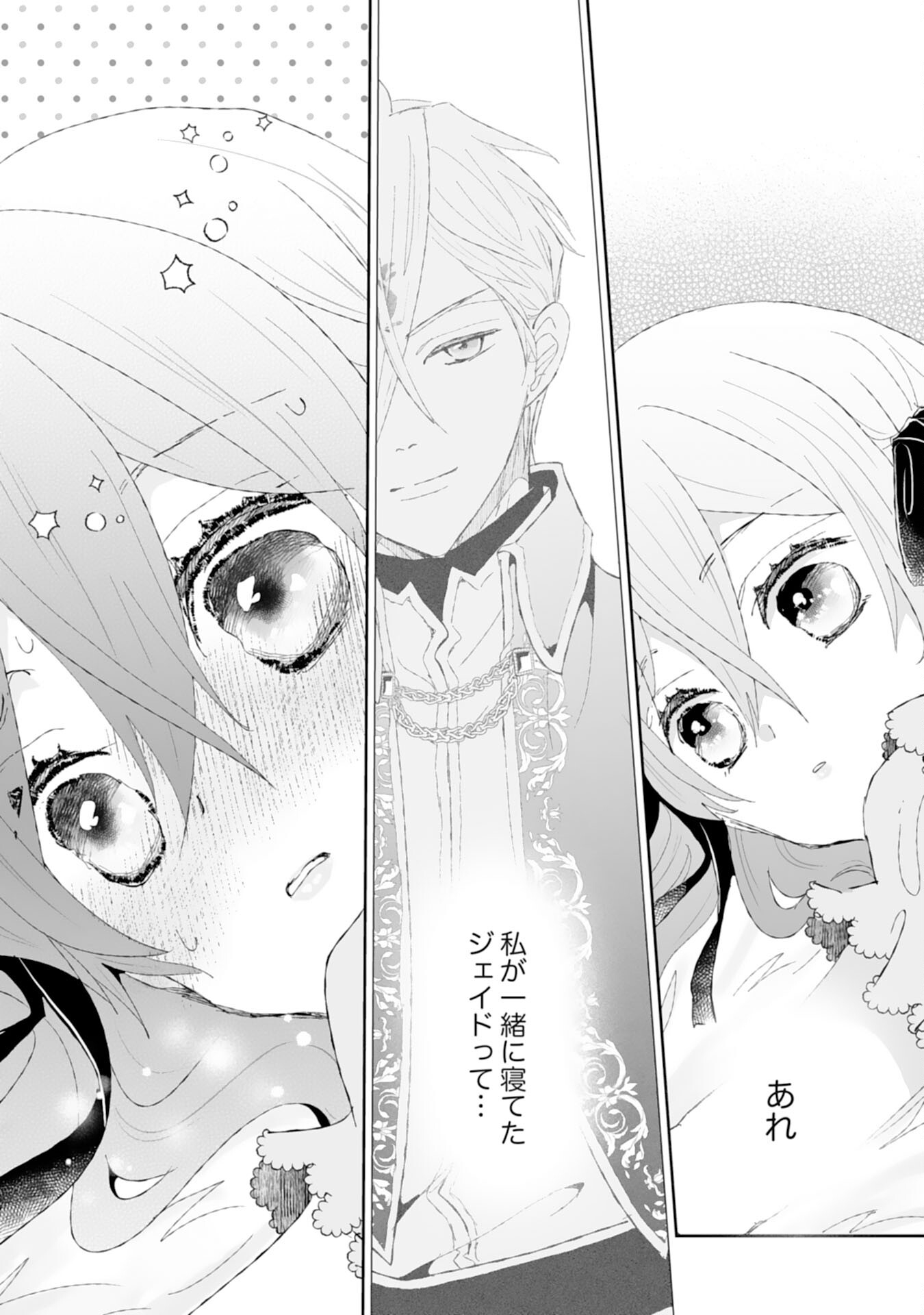 Konyaku Haki wa Honmou Desu! Seijo no Chikara ga Kaika Shita no de Watashi wa Jiyuu ni Kurashimasu - Chapter 2 - Page 25
