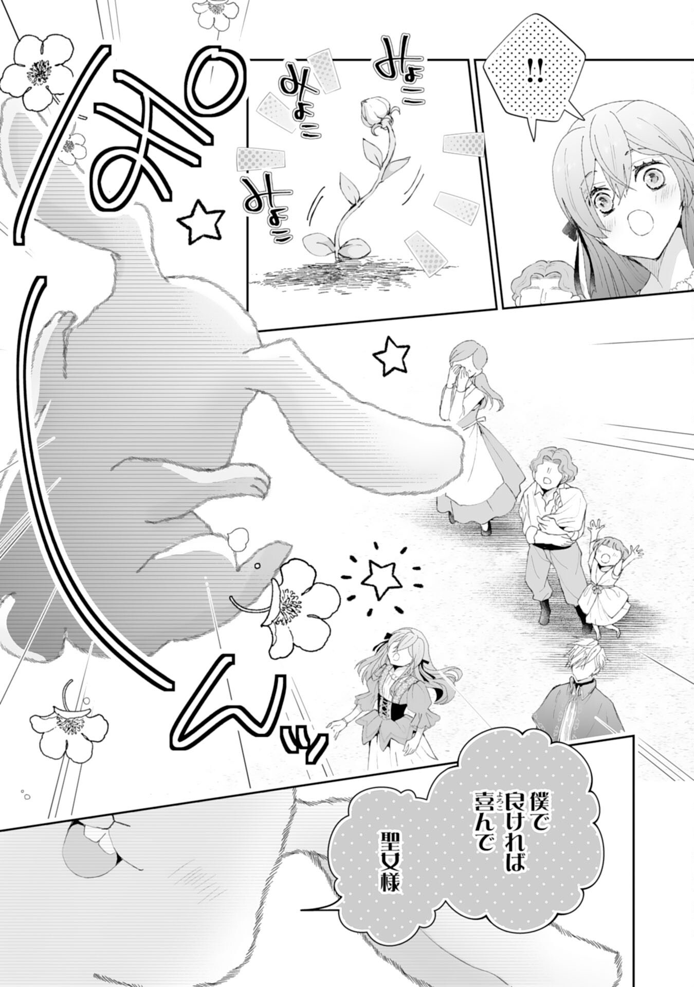 Konyaku Haki wa Honmou Desu! Seijo no Chikara ga Kaika Shita no de Watashi wa Jiyuu ni Kurashimasu - Chapter 5 - Page 25