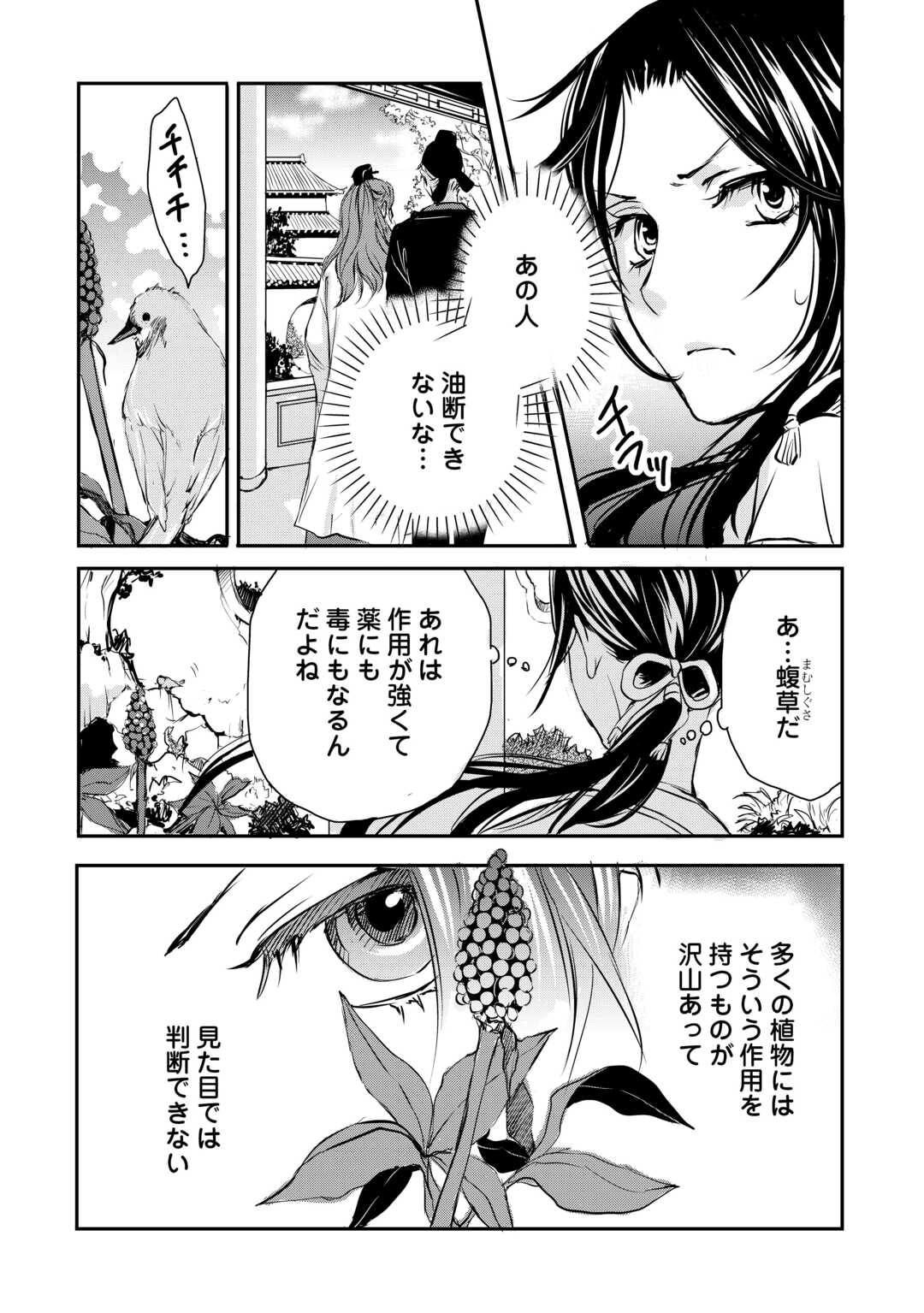 Koukyuu no Kakure Kusushu wa Yamiyo wo Terasu - Chapter 2 - Page 11