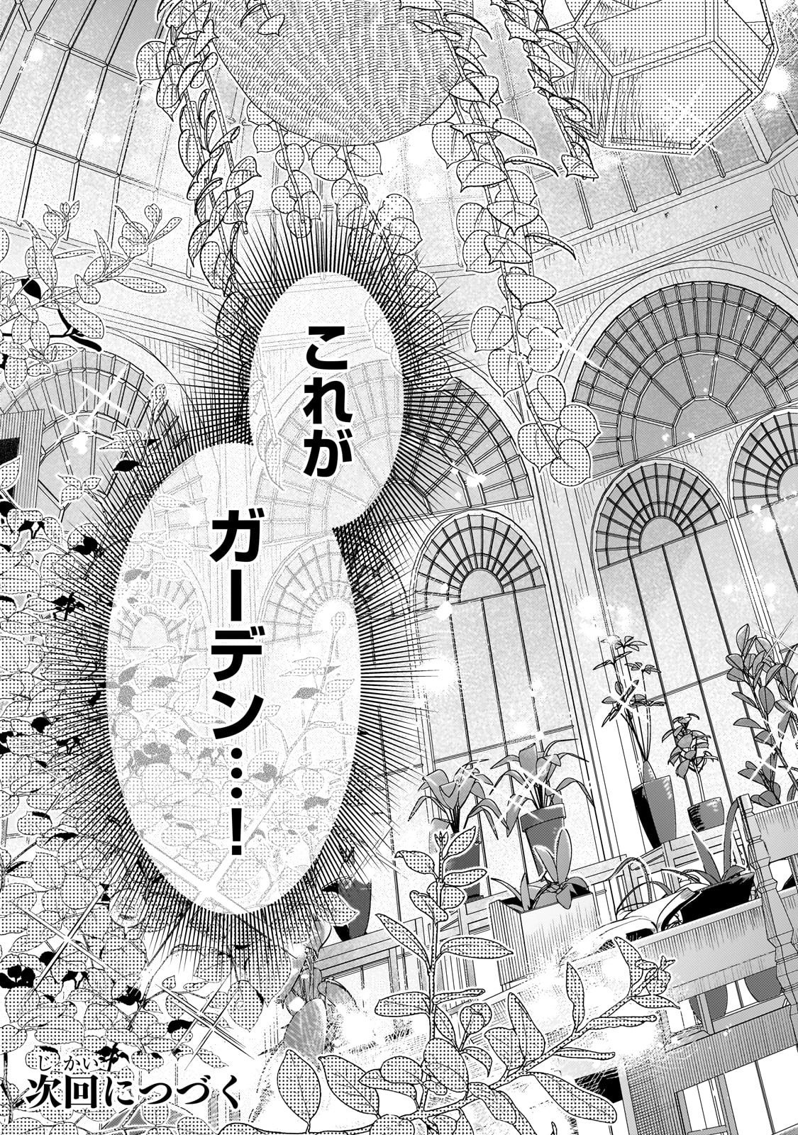 Koushaku-ka no Jijo wa Sugata wo Kakusu - Chapter 2 - Page 29