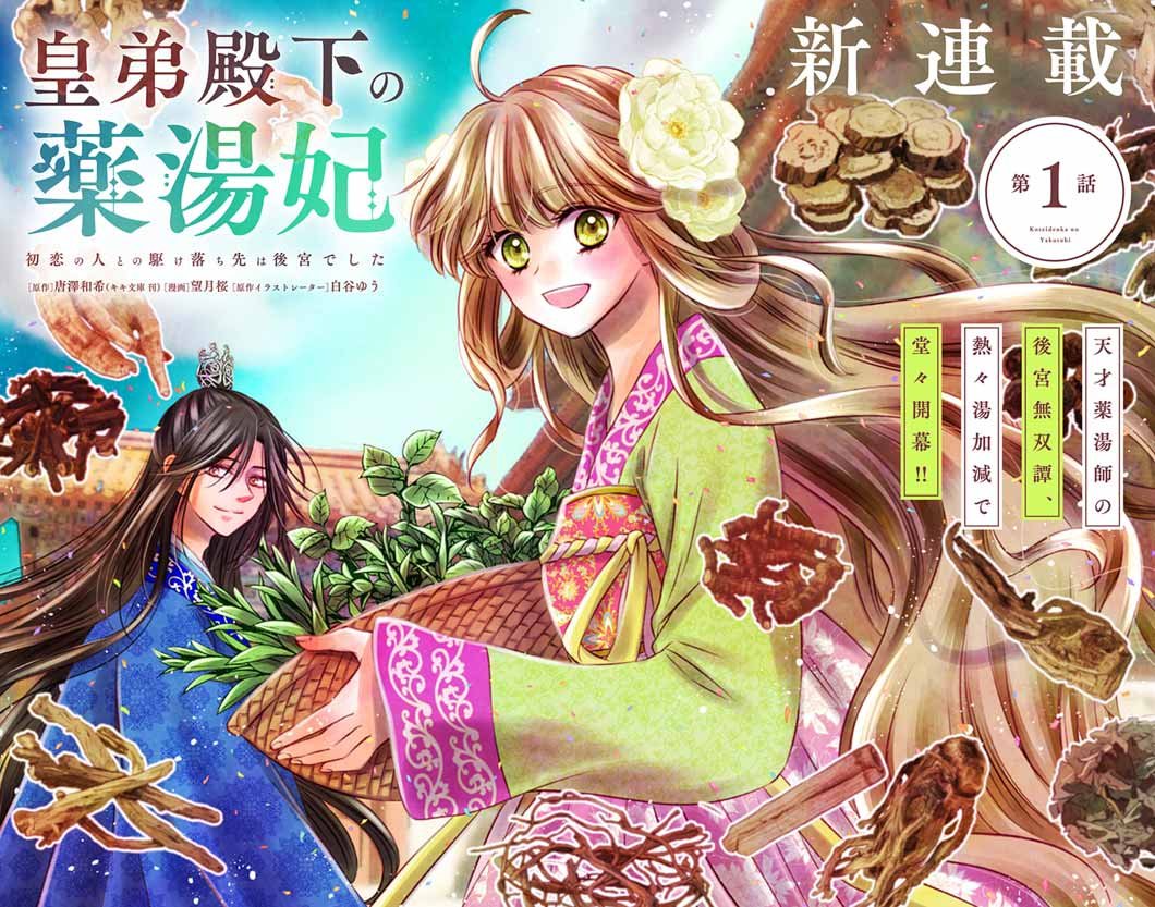 Koutei Denka no Yakutou Kisaki - Chapter 1 - Page 2