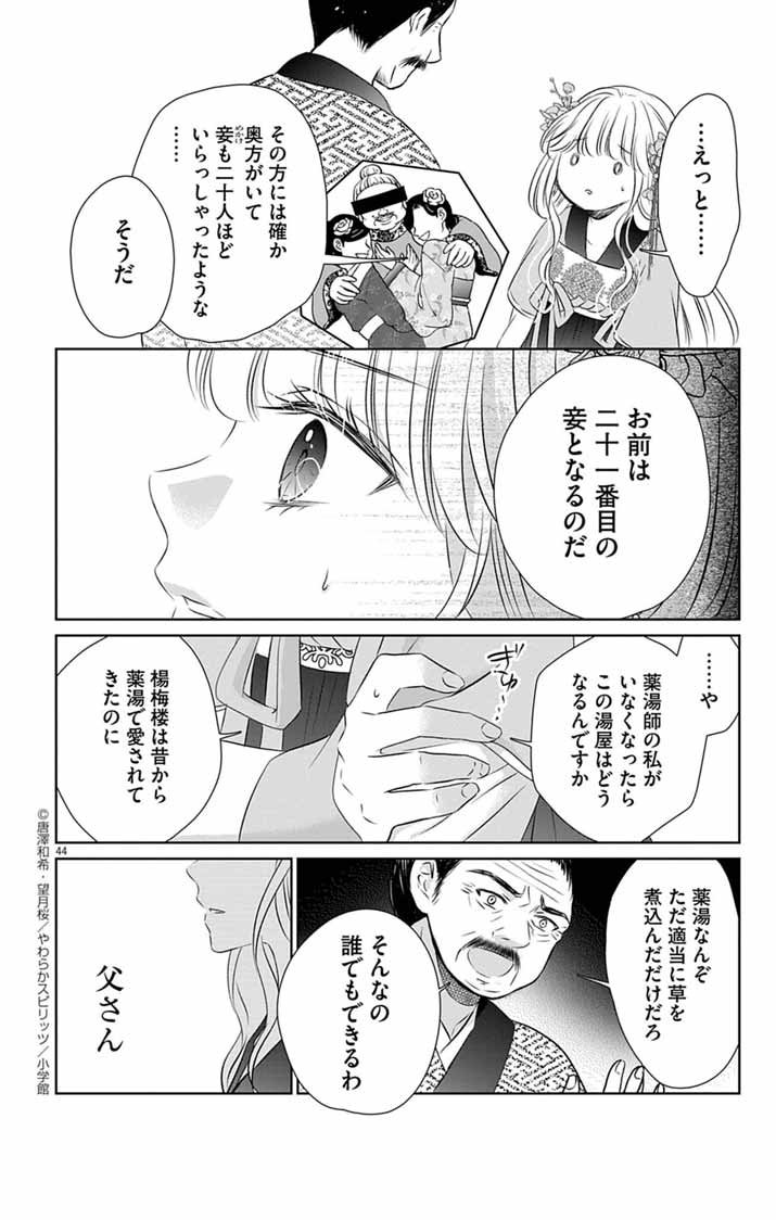 Koutei Denka no Yakutou Kisaki - Chapter 1 - Page 43