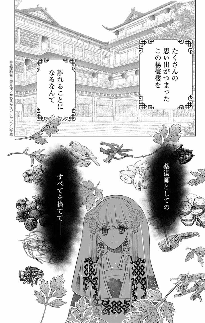 Koutei Denka no Yakutou Kisaki - Chapter 1 - Page 53