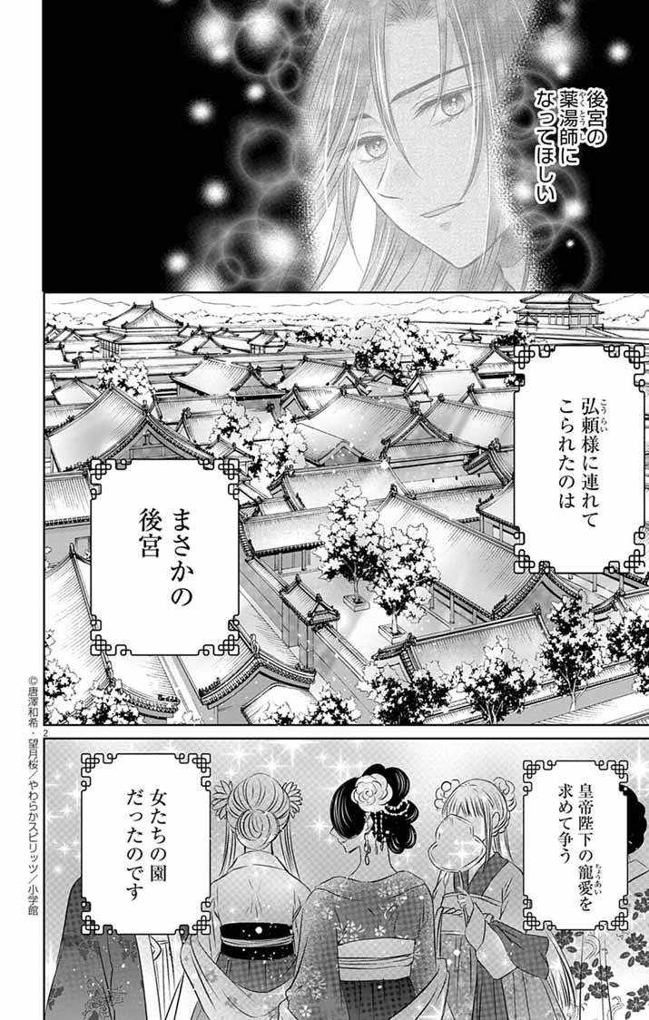 Koutei Denka no Yakutou Kisaki - Chapter 2 - Page 2