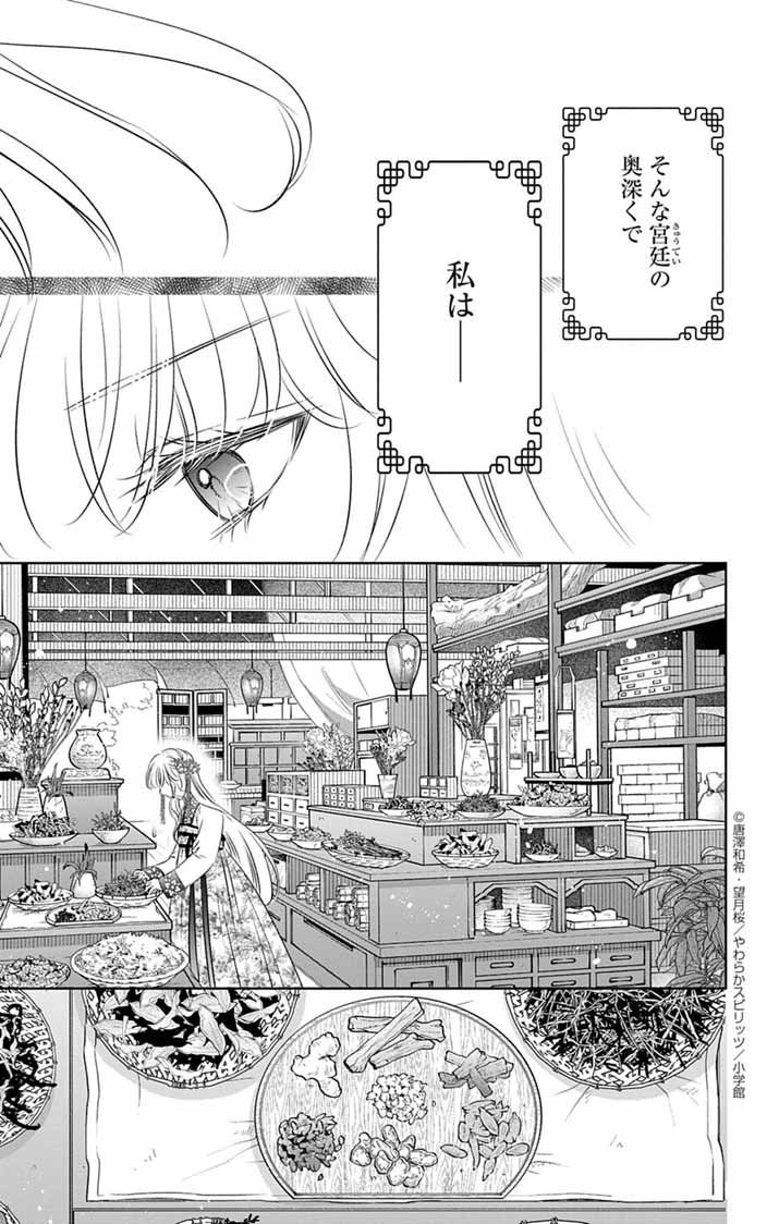 Koutei Denka no Yakutou Kisaki - Chapter 2 - Page 3