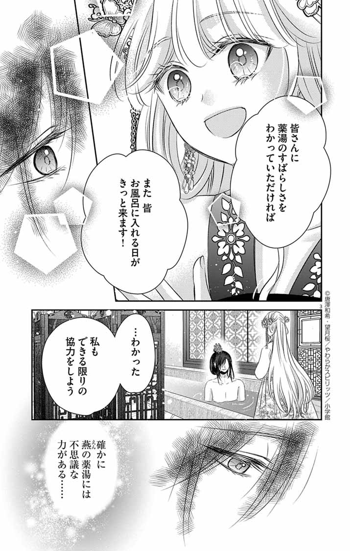 Koutei Denka no Yakutou Kisaki - Chapter 3 - Page 3