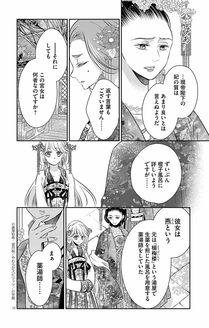 Koutei Denka no Yakutou Kisaki - Chapter 4 - Page 12