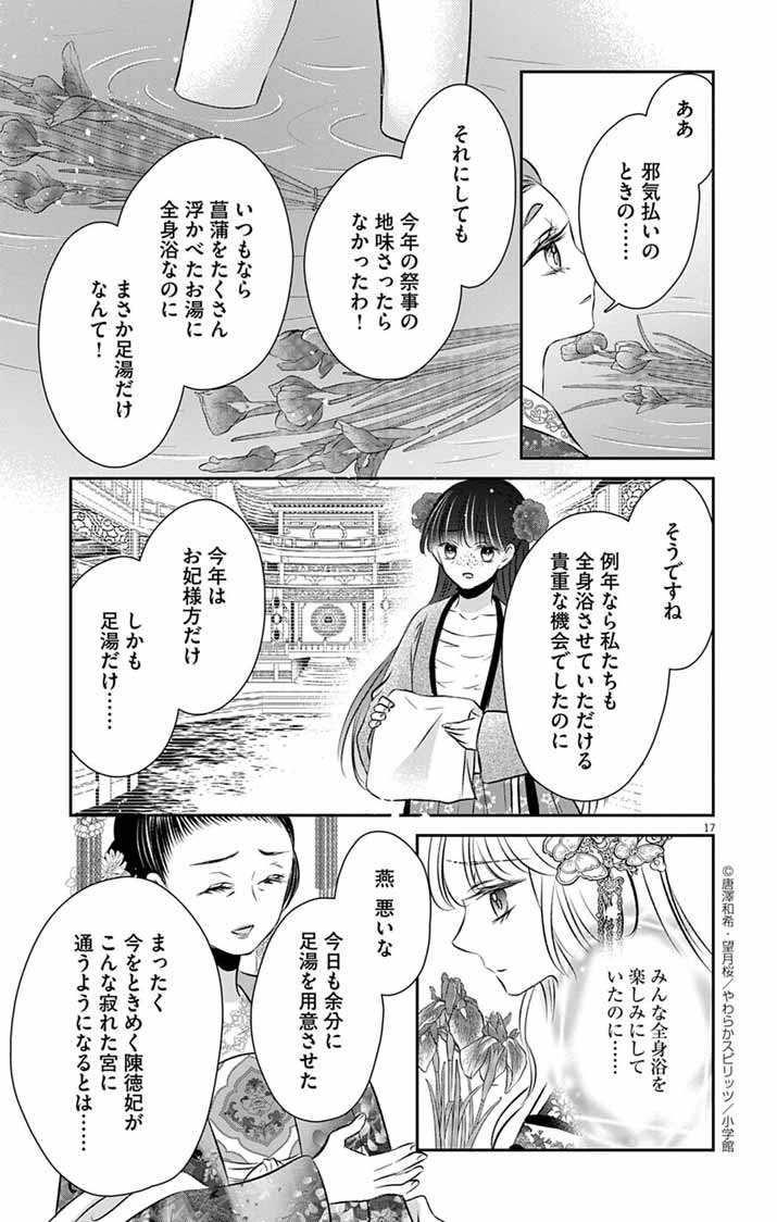 Koutei Denka no Yakutou Kisaki - Chapter 4 - Page 17