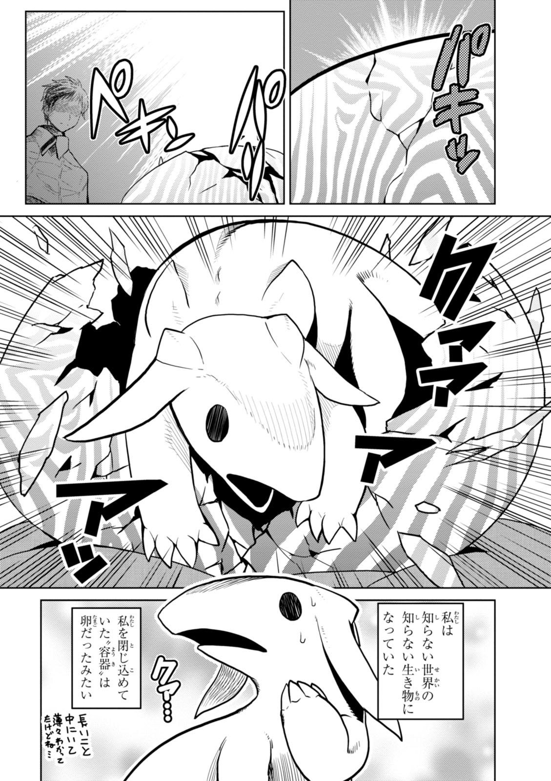 Kumo Desu ga, Nani ka? - Chapter 19.2 - Page 24