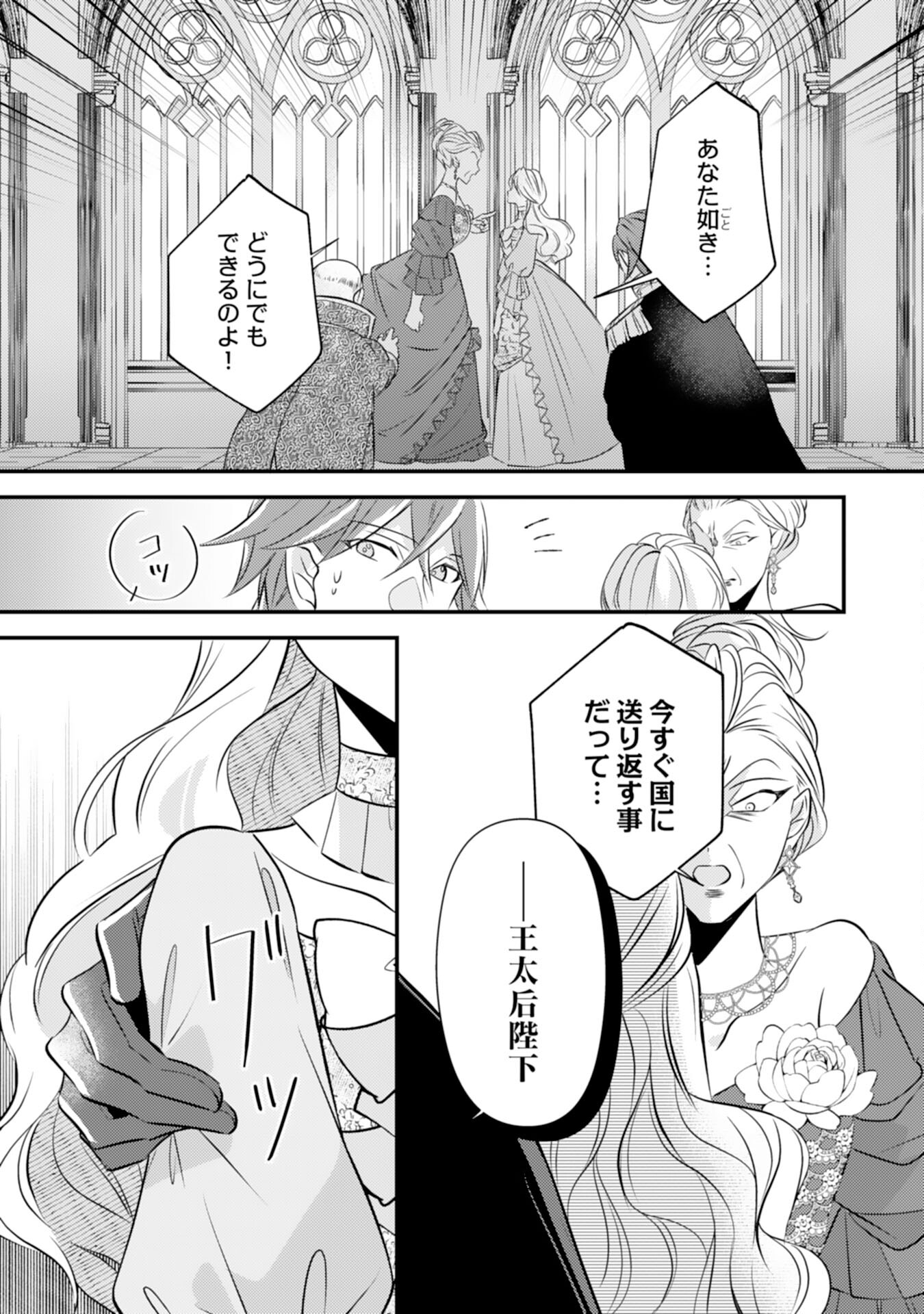 Kuro Kishi-sama no Oki ni Mesu Mama - Seiryaku Kekkon no Hazu ga Dekiaisareteimasu - Chapter 4 - Page 25