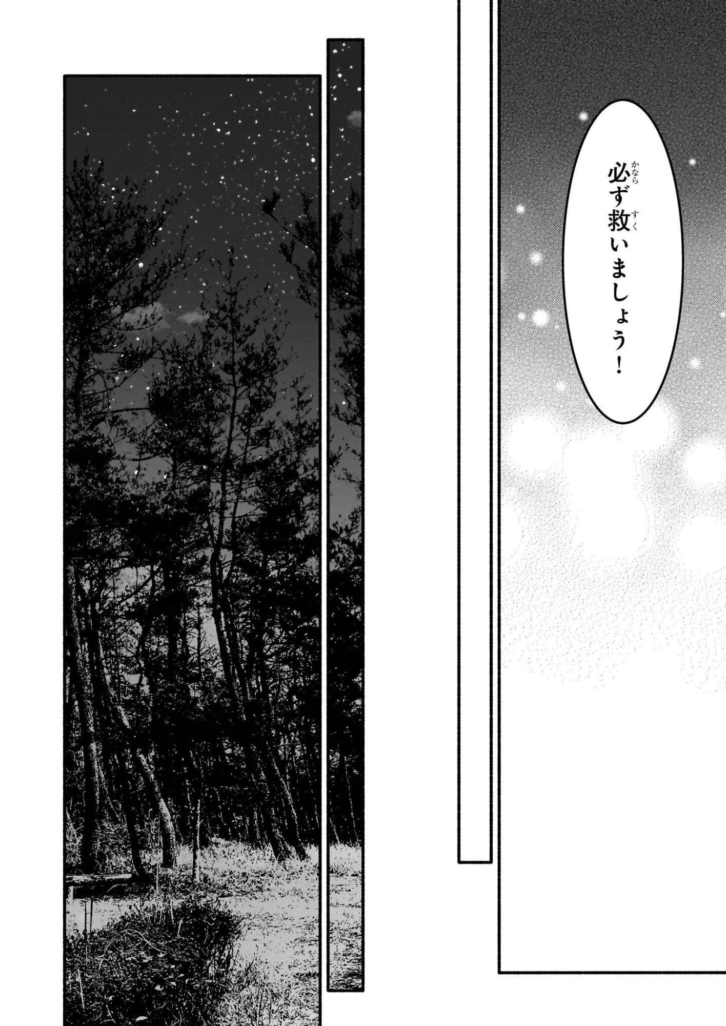 Kuromaku Reijou Anastasia wa, Mou Akiramenai Futatabime no Jinsei wa Jiyuu wo Tsukamimasu - Chapter 10 - Page 16