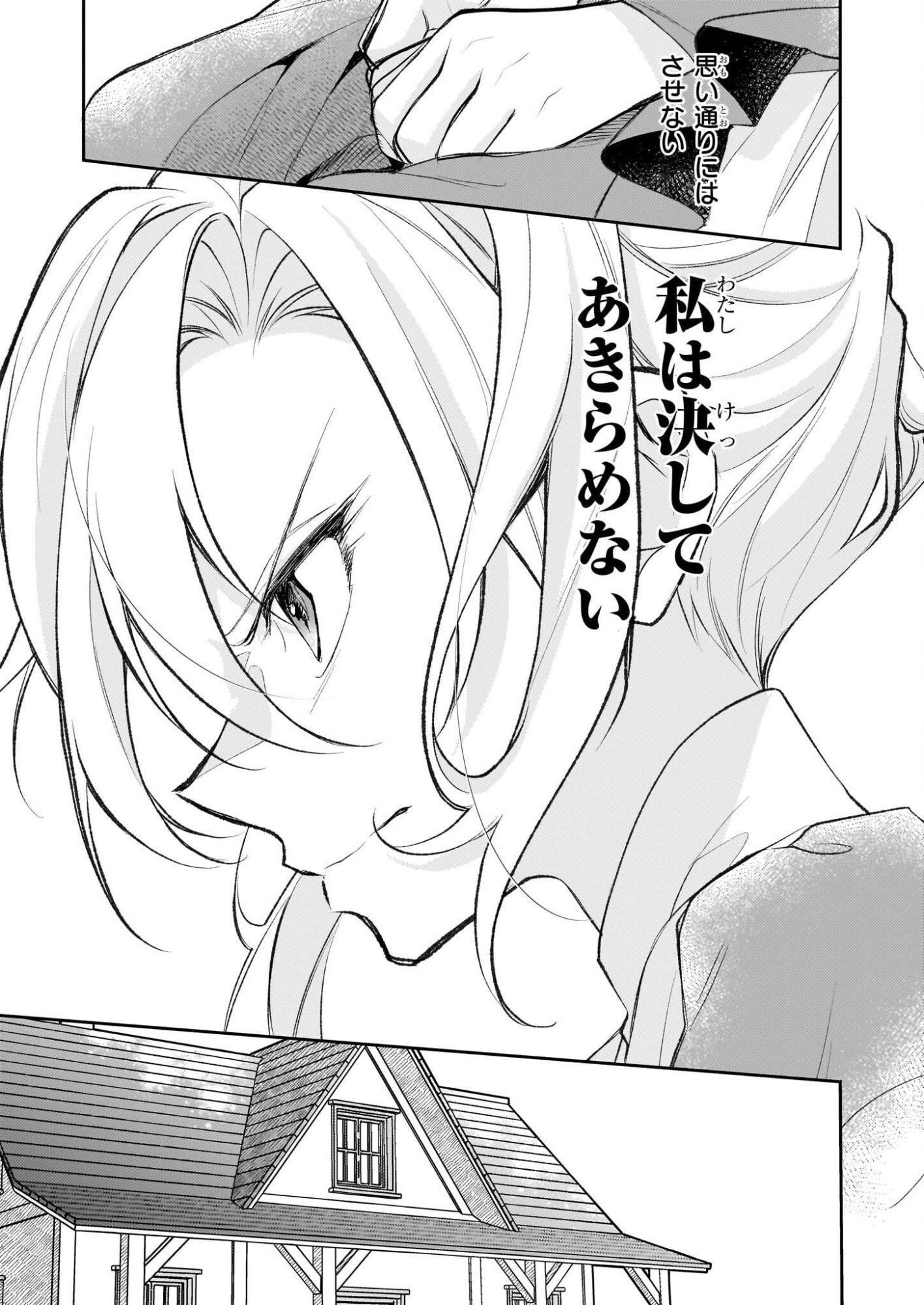 Kuromaku Reijou Anastasia wa, Mou Akiramenai Futatabime no Jinsei wa Jiyuu wo Tsukamimasu - Chapter 10 - Page 29