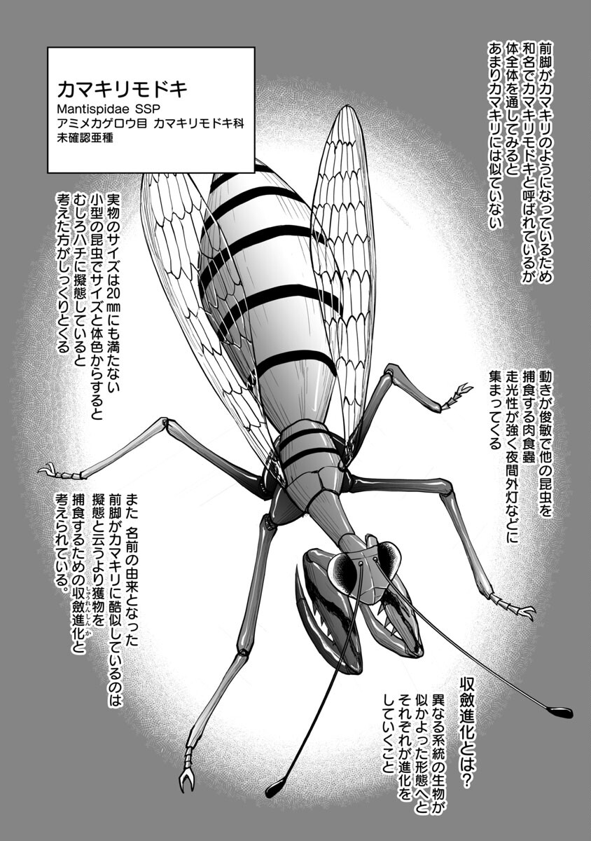 Kyomushi Sanmyaku - Chapter 43 - Page 13