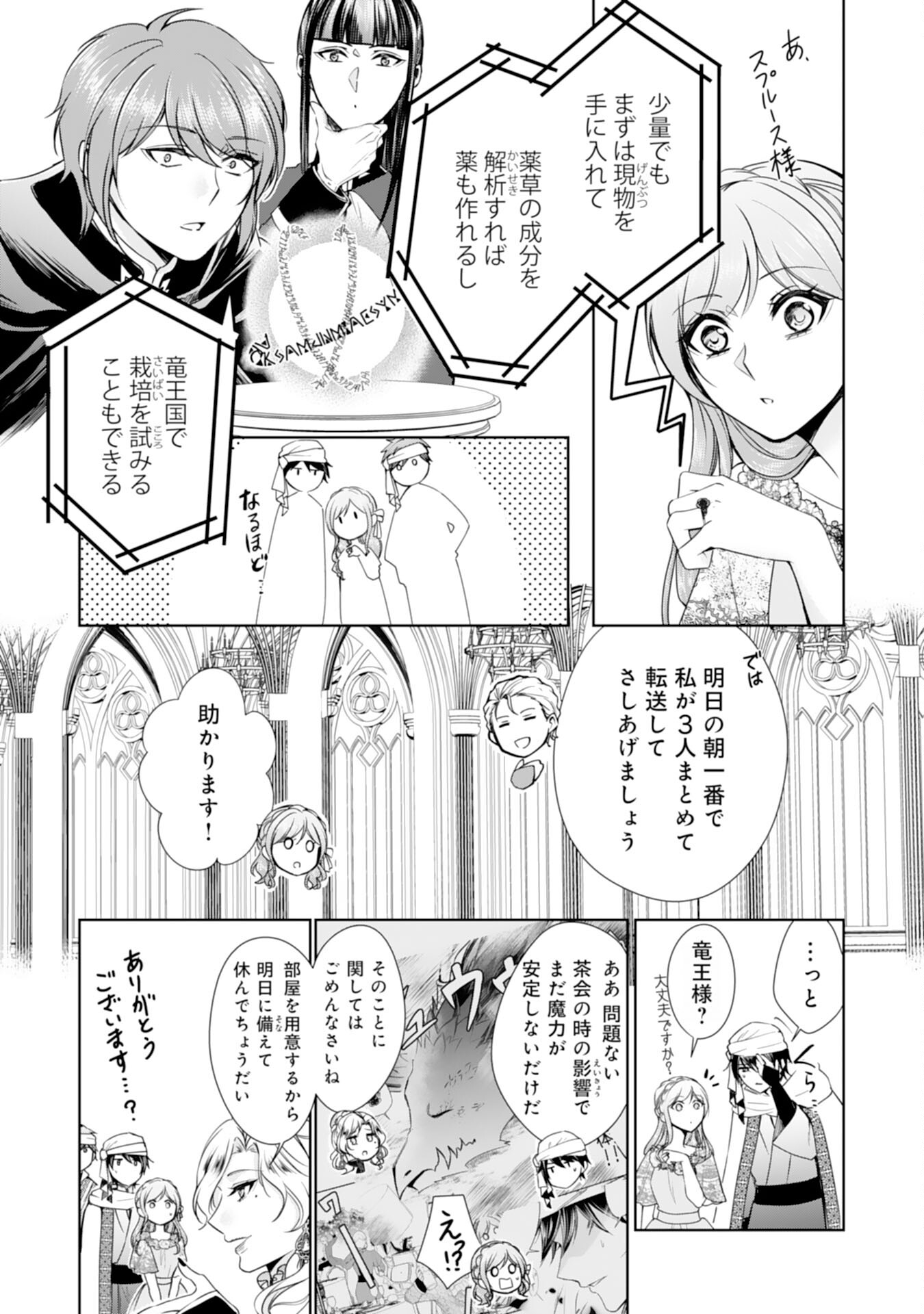 Maid ni Tensei Shitara, Ukkari Ryuu Ou-sama no Ibukuro Tsukanja Imashita - Chapter 27 - Page 9