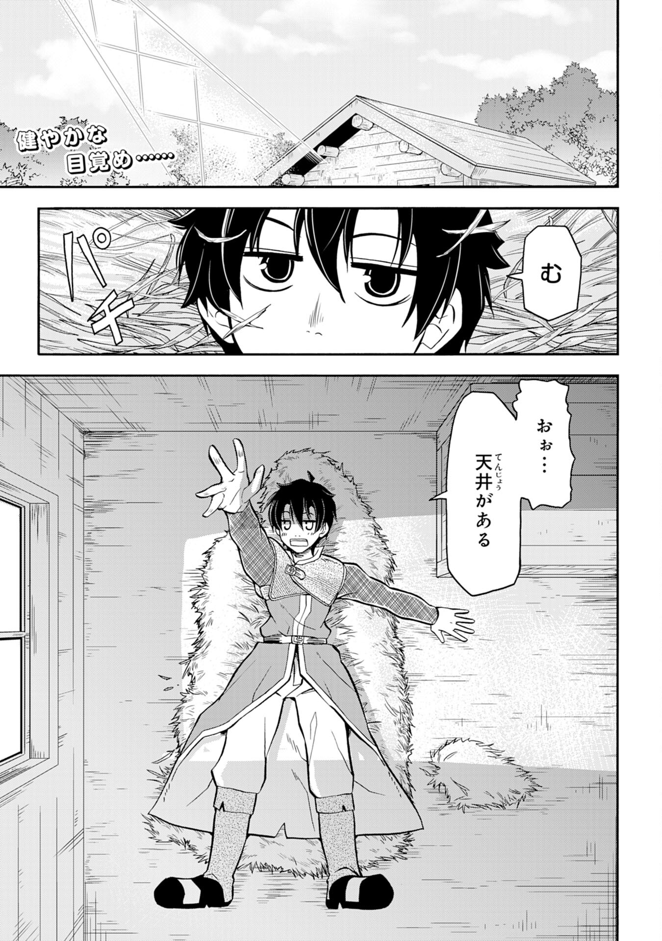 Maou O Taoshita Moto Yuusha, Moto No Sekai Ni Wa Modorenai To Ima Sara Iwareta No De, Oukoku O Sutete Suki Katte Ni Slowlife Shimasu! - Chapter 3 - Page 1