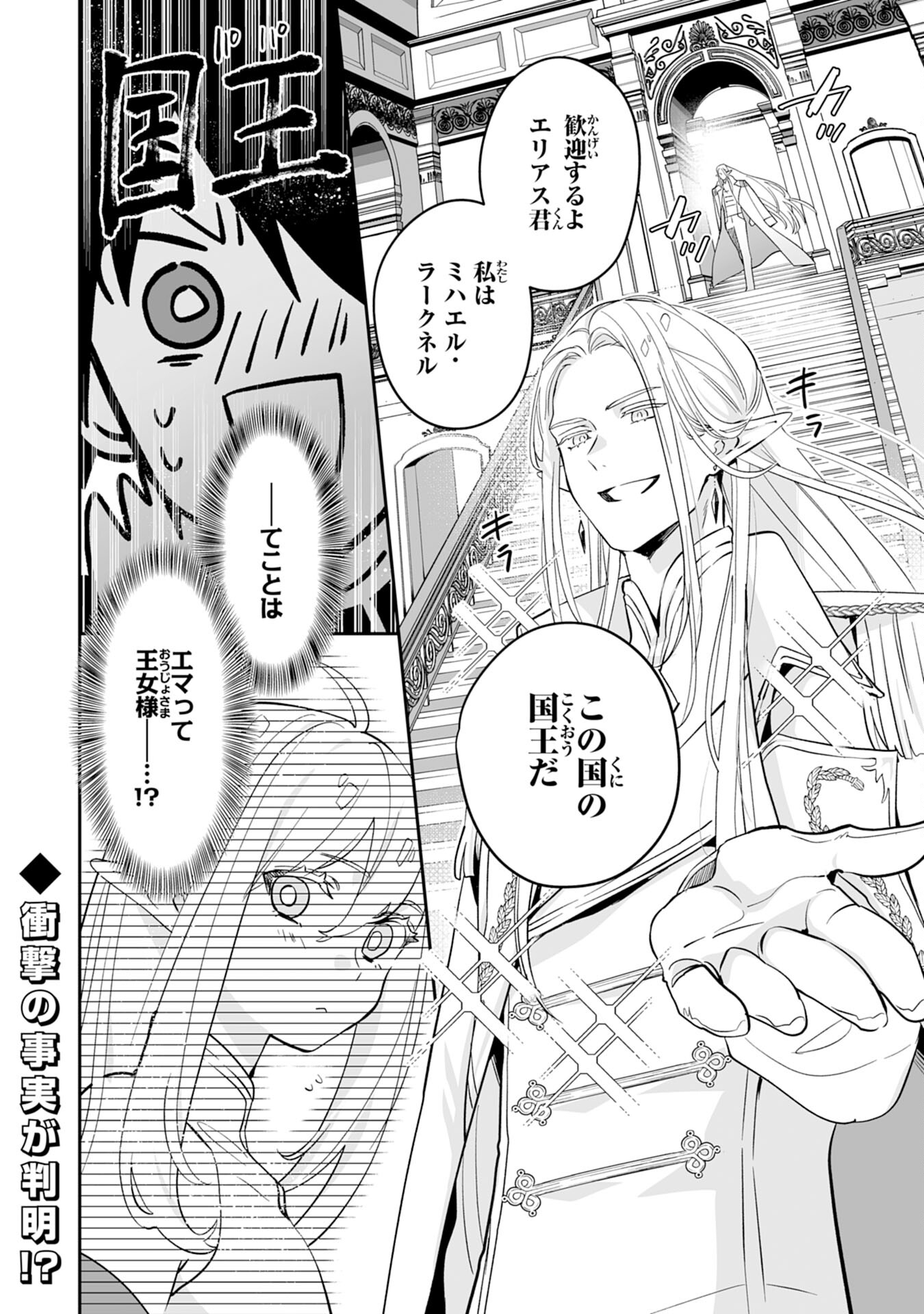 Maryoku 0 de Tsuihousaremashita ga, Daiseirei to Keiyakushi Maken no Chikara ga Kakuseishimashita - Chapter 2 - Page 28