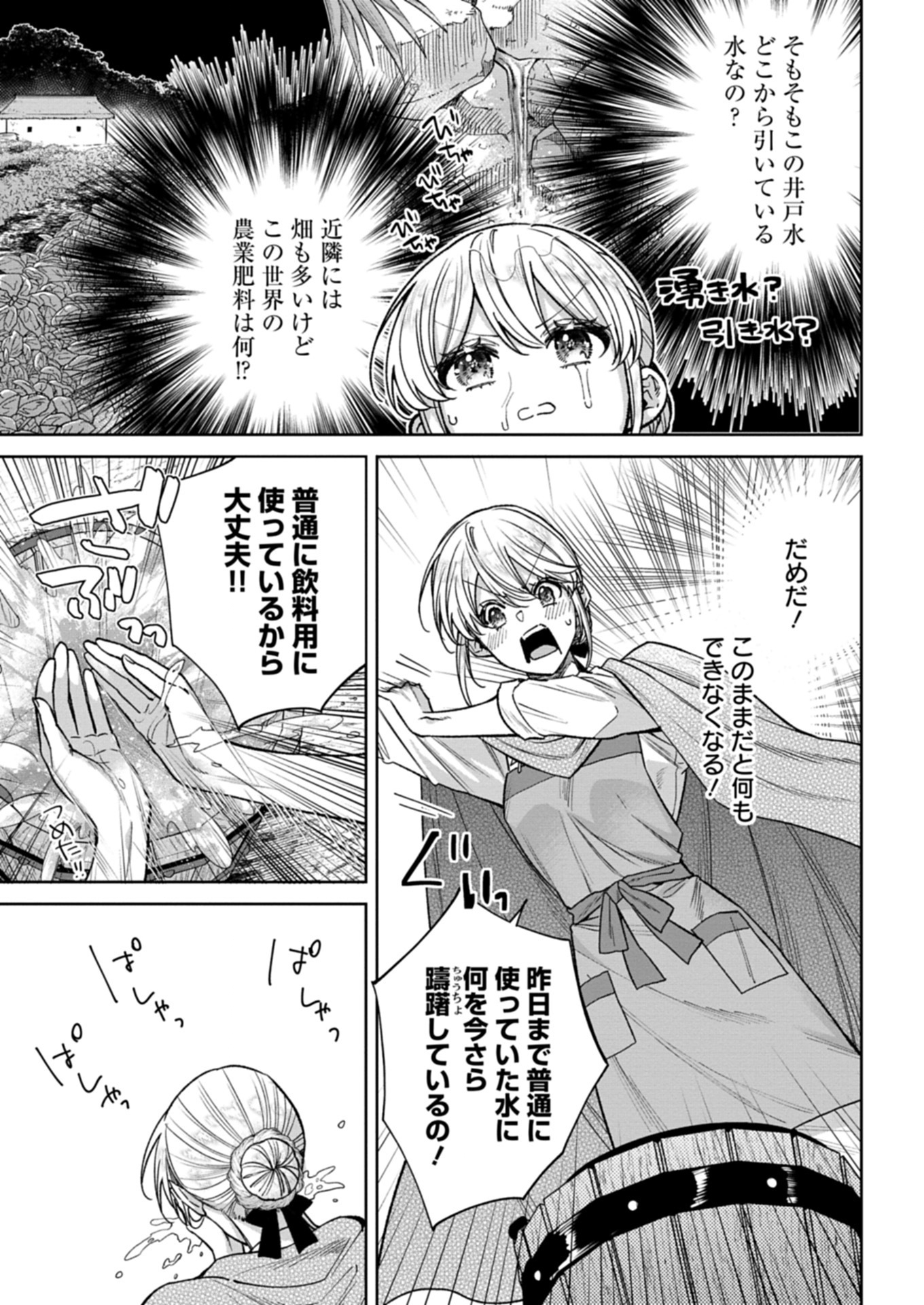 Me no Mae no Sangeki de Zense wo Omoidashitakedo, Amarini mo Mondai Yamazumi de Ippai Ippaidesu. - Chapter 7.1 - Page 13