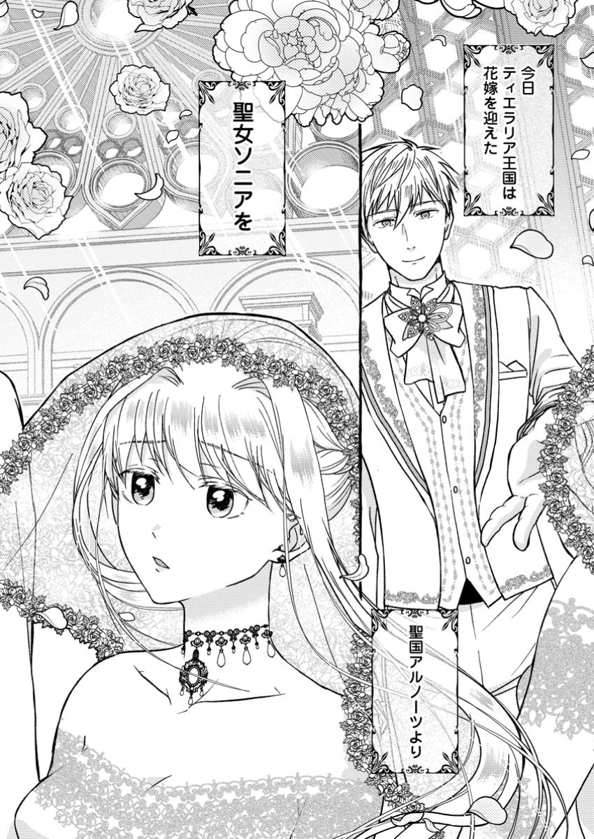 Migawari no Ochikobore Ikenie Seijo wa Tekikoku wo Ototo ni Dekiai sareru - Chapter 1 - Page 2