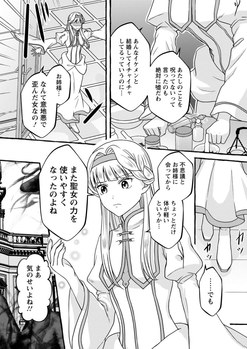 Migawari no Ochikobore Ikenie Seijo wa Tekikoku wo Ototo ni Dekiai sareru - Chapter 11.3 - Page 9