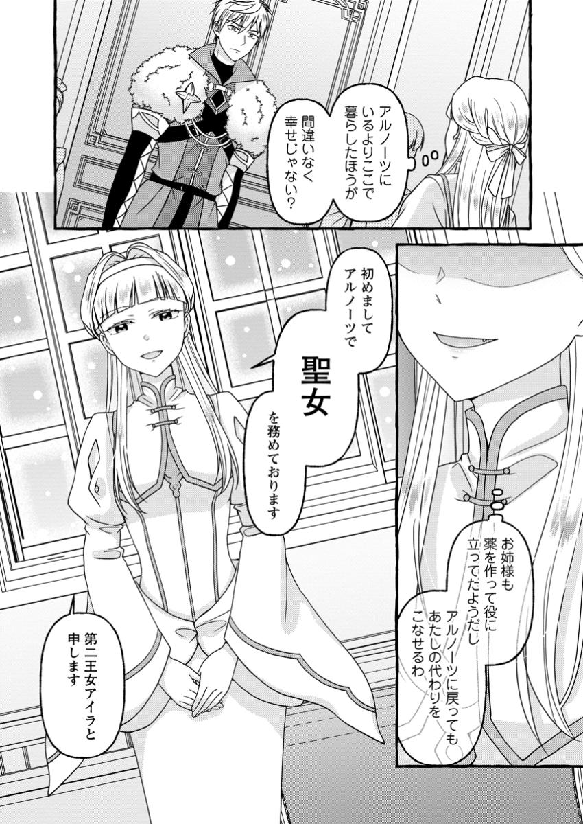 Migawari no Ochikobore Ikenie Seijo wa Tekikoku wo Ototo ni Dekiai sareru - Chapter 8.1 - Page 9