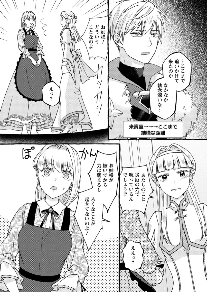 Migawari no Ochikobore Ikenie Seijo wa Tekikoku wo Ototo ni Dekiai sareru - Chapter 8.3 - Page 3