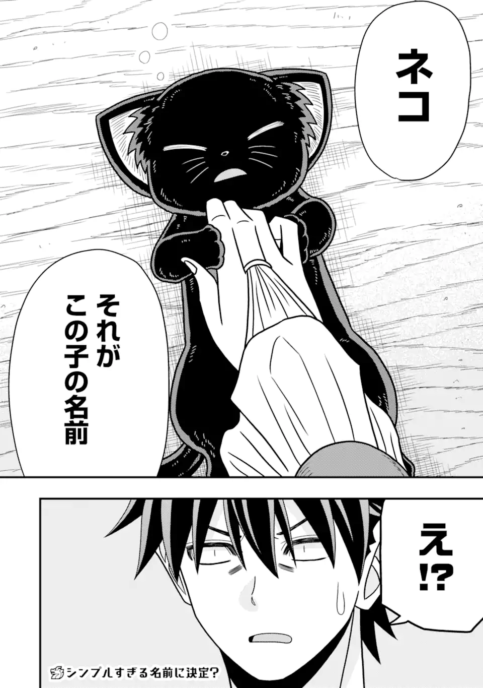 Minikui Tokage no Ko to Ochibureta Moto Kensei - Chapter 10.3 - Page 11